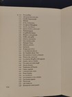 Foto 4 di 4