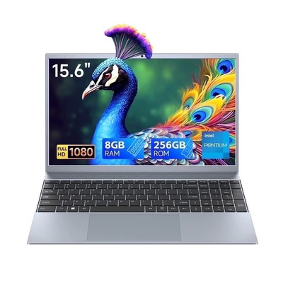 RNRUO 15.6 inch 1080p Laptop Computer 8GB RAM 256GB SSD with 4 Core Intel Pentiu