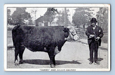 EARLY 1900S. SAMMY AND JULIUS HAUSER. BRED HE...
