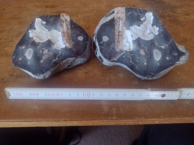 Donnerkeil ca 7 x 1,5 cm in Feuerstein ca 15 x 13 x12 cm Stein so gefunden II