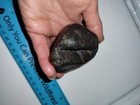  native American stone tool shaft straightener or brader artifact — photo 7