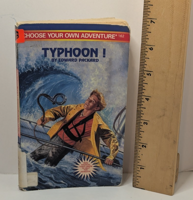#ad #ad Choose Your Own Adventure #162 Typhoon Edward Packard 1995 CYOA Rare 90s 1st Ed $27.99