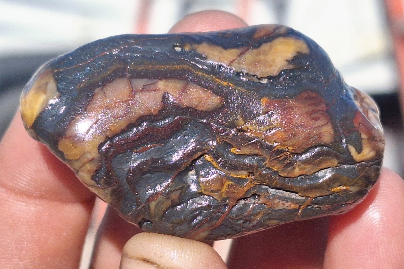 C3 Genesis Stone Banded Ironstone BIF Wyoming Healing therapy