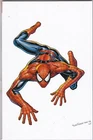 Amazing Spider-Man (2022 7th Series) #6 Kirkham Virgin Variant NM
