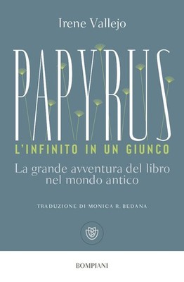 Vallejo Irene Bücher - Papyrus. Die Unendlichkeit in einem Schilf. Das große Abenteuer des 