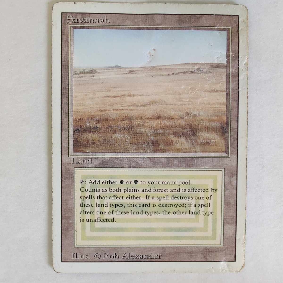 Savannah - DMG - Revised Edition 3ED - MTG | eBay