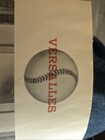 VINTAGE Minnesota Twins 1964 Yearbook, Harmon Killebrew, Tony Oliva, Jim Kaat!! — photo 6