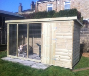 dog house with run