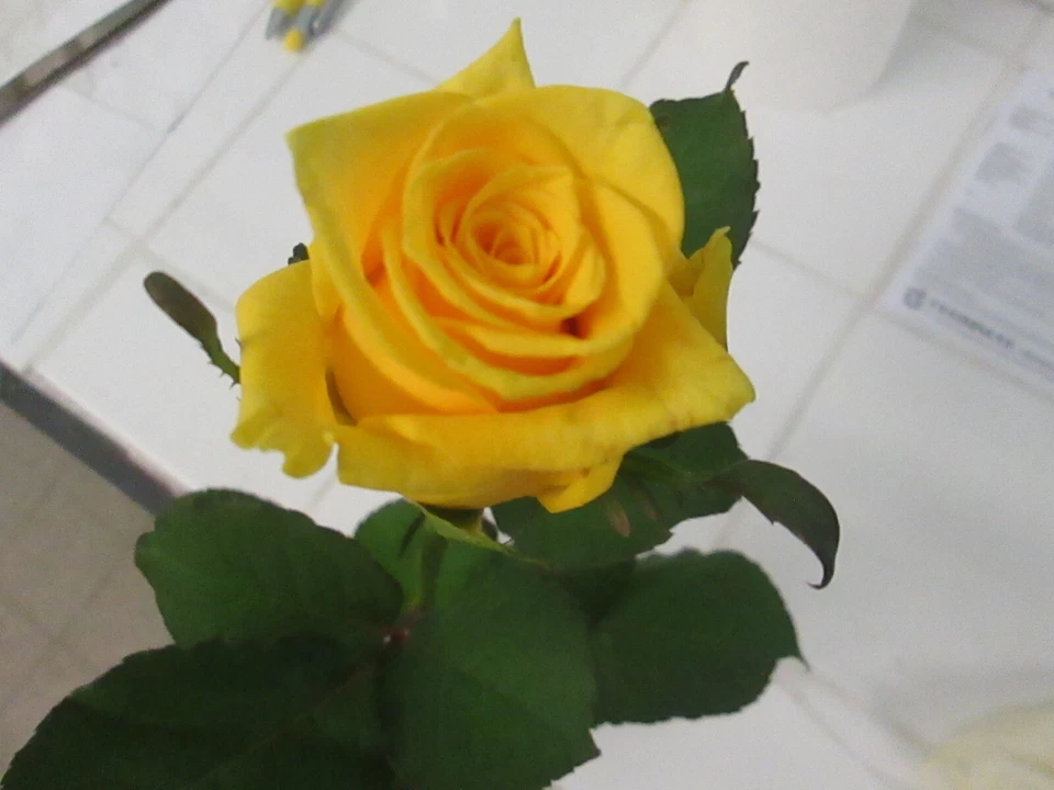 Kupferleitlack Spray 400 ml - Bastel Dekolack Galvanik - objekte metallisieren - Bild 4 von 4