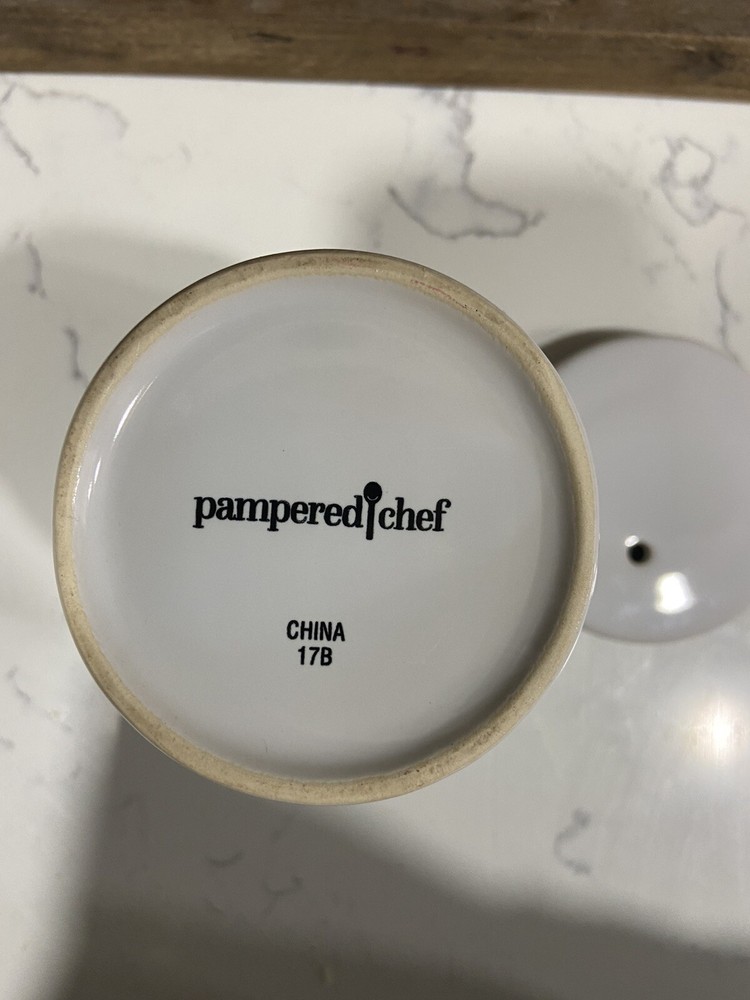 Pampered Chef Ceramic Egg Cooker #1529 Microwave Oatmeal & Mug Cakes Too!