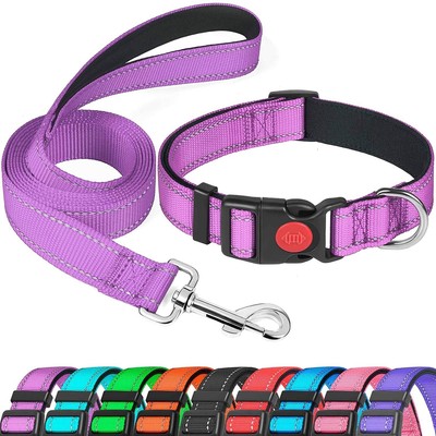 puppy dog collar and lead