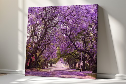 Arte da parete stampa su tela alberi Jacaranda viola, elegante appendiabiti da parete arredamento casa - Foto 9 di 12