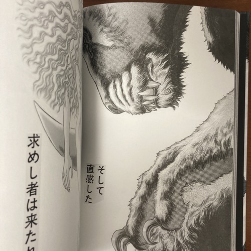 Berserk Exhibition THE ARTWORK OF BERSERK Art Book Illustration - Picture 19 of 24