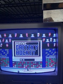 NES Nintendo Wayne Gretzky Hockey By T*HQ White Uniform ZY-USA-2