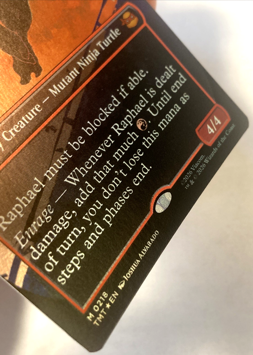 MTG Raphael, Ninja Destroyer (Borderless Foil) TMNT 218 LP - NM | eBay