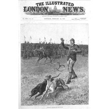 DOG COURSING Slipping the Greyhounds - Antique Print 1887