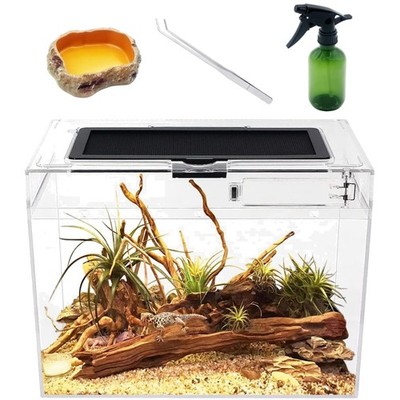 Mini Terrarium Komplettset für Reptilien und Wirbellose mit 31x19x24 Zentimet...