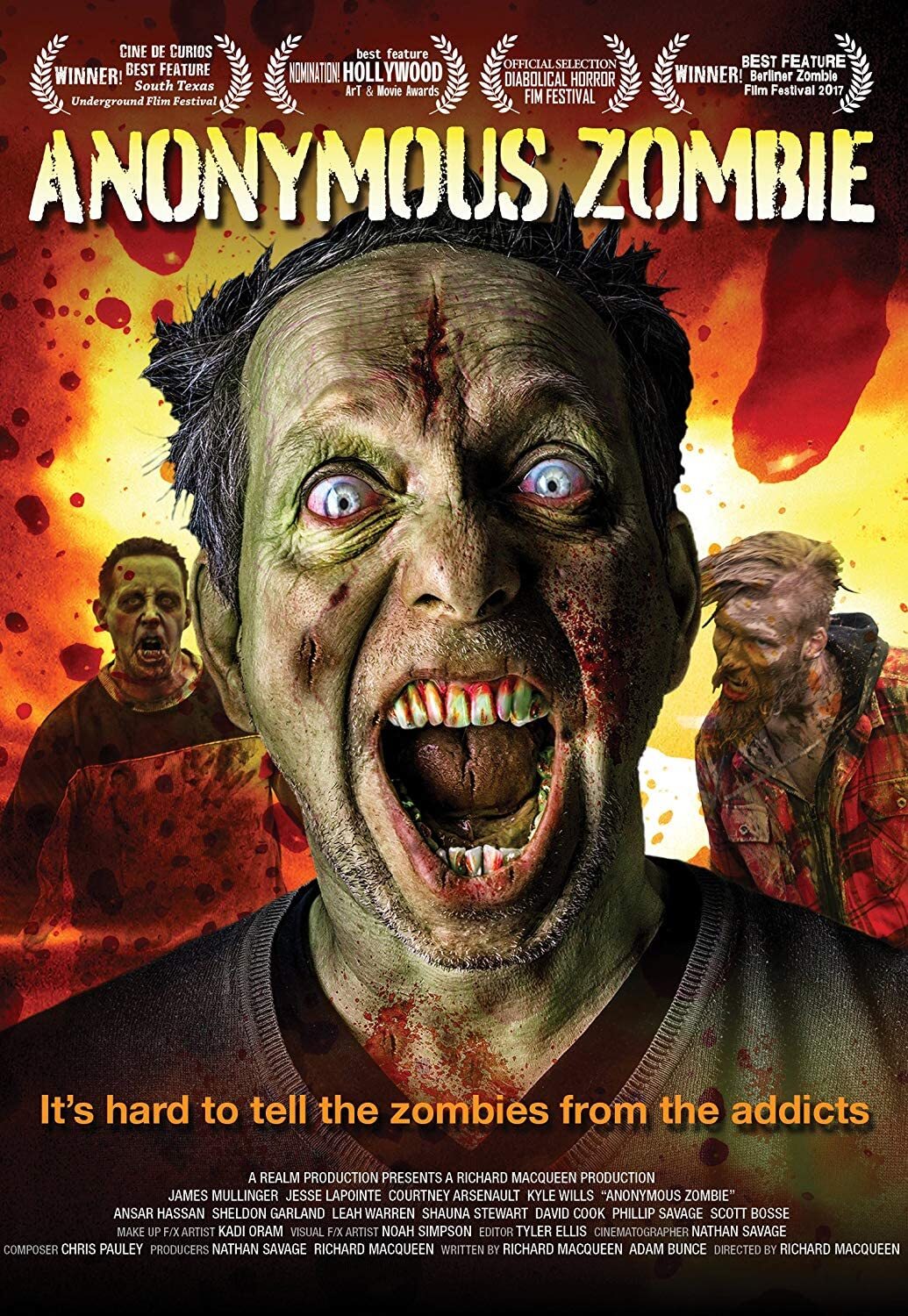 Anonymous Zombie (DVD) James Mullinger Kyle Wilz Jesse Lapointe Leah Warren