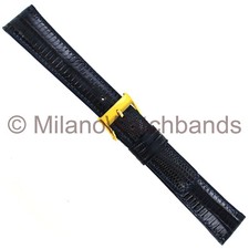 11mm Speidel Navy Blue Genuine Classic Teju Lizard Padded Ladies WatchBand SHORT