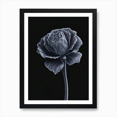 Eine Nelke in schwarz weißer Linie Kunst gerahmtes Wandbild Poster Leinwanddruck Bild