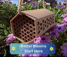 Mason Bee Hotel   Boost Your Garden Naturally