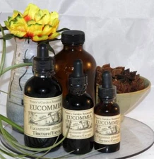 EUCOMMIA BARK Extract Bones Joints Strength Tonic Organic Folk Remedy Tincture ~