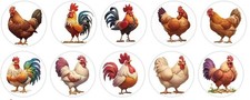 10 1" Different ROUND MINI ROOSTER CHICKEN STICKERS 10.5"X 1" Strip 75