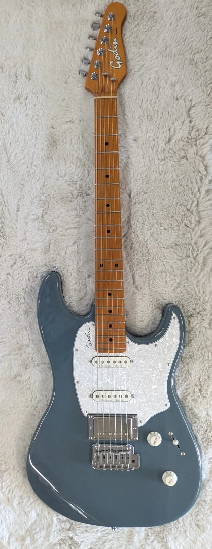 Godin Session Guitar for sale | eBay