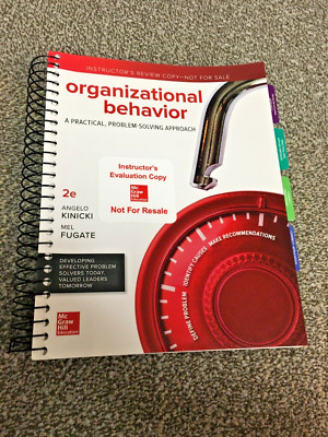 Organizational Behavior A Practical Problem solving Approach IE
