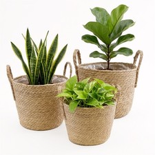 Wicker Plant Pots with Handles 3Pc Indoor Seagrass Storage Basket Rattan Planter