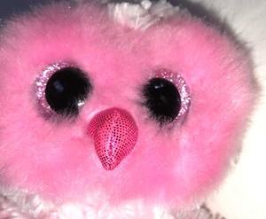 TY Beanie Boos 6