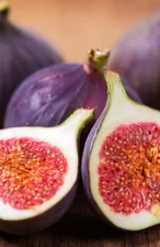 Fresh 10in Fig Tree Cutting, 7 cuttings, unrooted