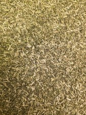 Catnip herb tea (Nepeta cataria L.) STRONG AROMA - Botanical