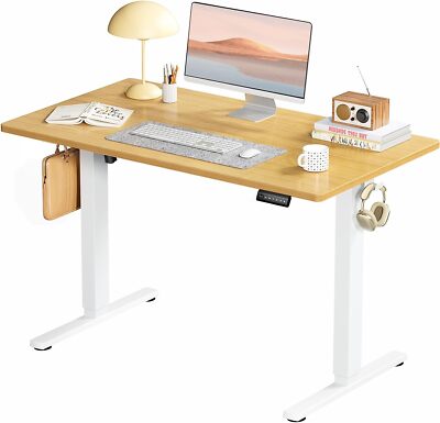 40'' Electric Standing Desk Height Adjustable Desk Home Office Computer Desk