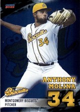 2023 Anthony Molina Choice Minor League Rookie Montgomery Biscuits #17