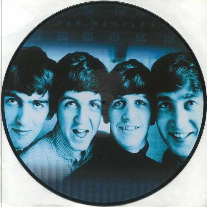 a*s様 The Beatles Picture Record Limited The Beatles Picture Disc Vinyl Records for sale | eBay