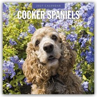 Cocker Spaniels - Cocker Spaniel 2027 - 16-Monatskalender | Robin Red | Deutsch