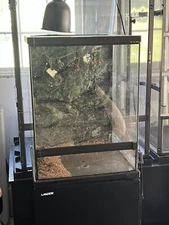 Tree Frog Terrarium complete, fully automated system