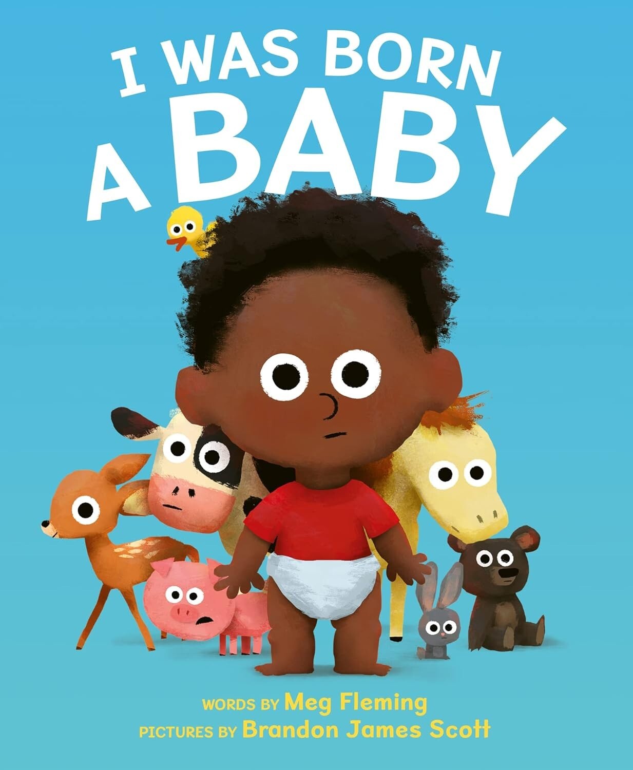 I Was Born a Baby by Meg Fleming (Hardcover)