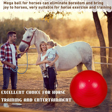 2 Pcs 40 Inch Horse Ball for Play Large Horse Big Equine Herding Anti Burst Dog