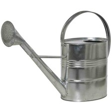 SIENA GARDEN Zinkgießkanne 10 l, silber Stahlblech, verzinkt