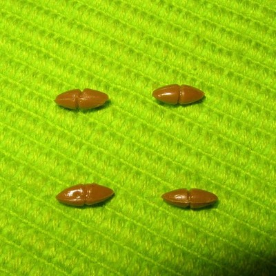 vintage barbie open road