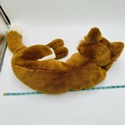 Bild 9 von 9