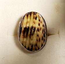 Genuine Sterling Silver with Ribbed Natural Shell Centerpiece Size 7 Ring 8.4g