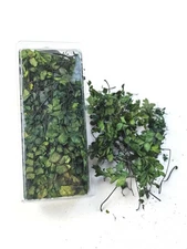 Realistic Miniature Vine Vegetation for DIY Model Trees Basing Material Kit, ...