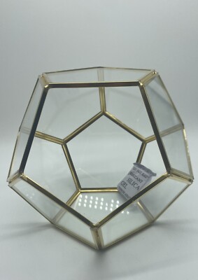 D Eco Glass Geodesic Terrarium Gold 21cm Succulent Air Plant Planter Open Box
