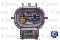 Vaico V25-1302 Spritzblech, Bremsscheibe FüR Ford