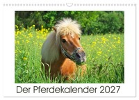"Calendar 2027 · US Version · The Horse Calendar (Wall Calendar 2027 17\" × 12\" La"