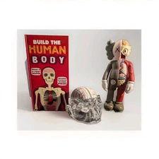 Seroquel Vintage Lucite Head with Brain Model AndKAWS Dissected Companion Rare