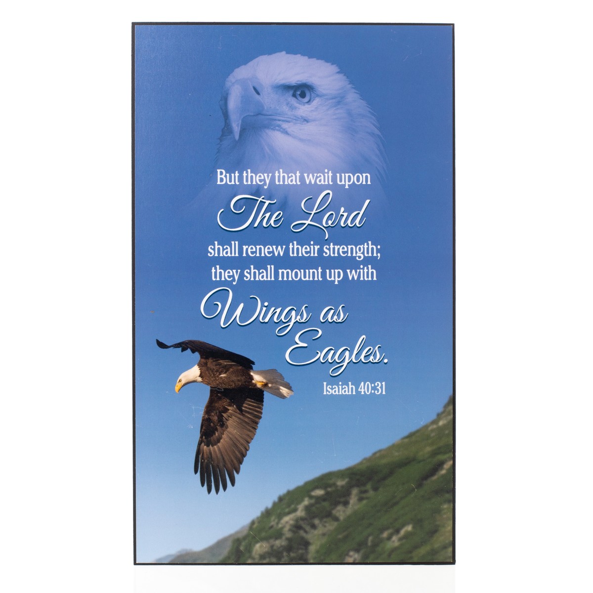 Dicksons Wings as Eagles Isaiah 40 31 Bald Eagle 6 X 10 Wood